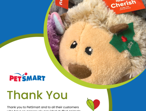 PetSmart customers provide stuffed animals for young patients